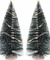 Kerstdorp onderdelen 2x kerstbomen 15 cm met led verlichting